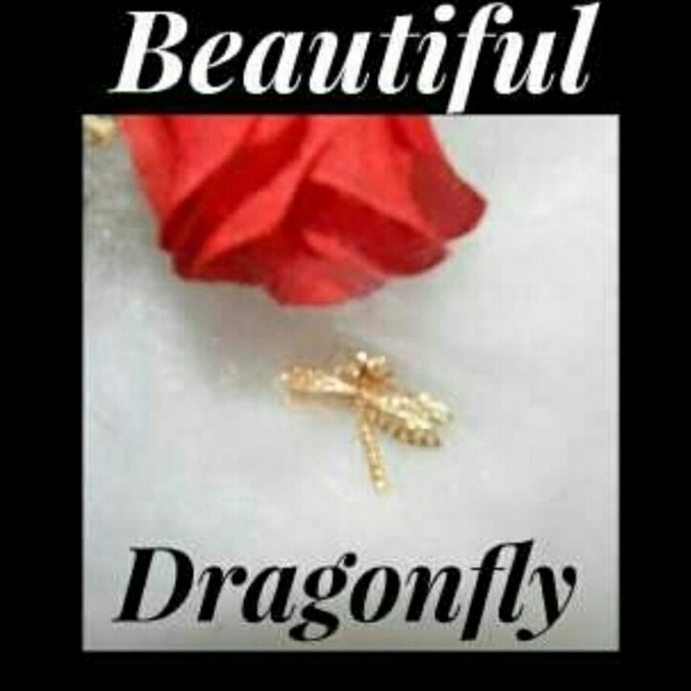 BUY 2 GET 1 FREE SALE! Gorgeous ❤️ Dragonfly Pin.